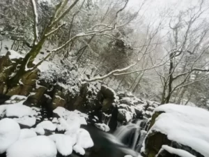 雪景色の尼ン滝