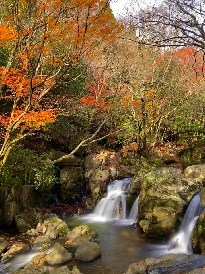 秋の尼ン滝