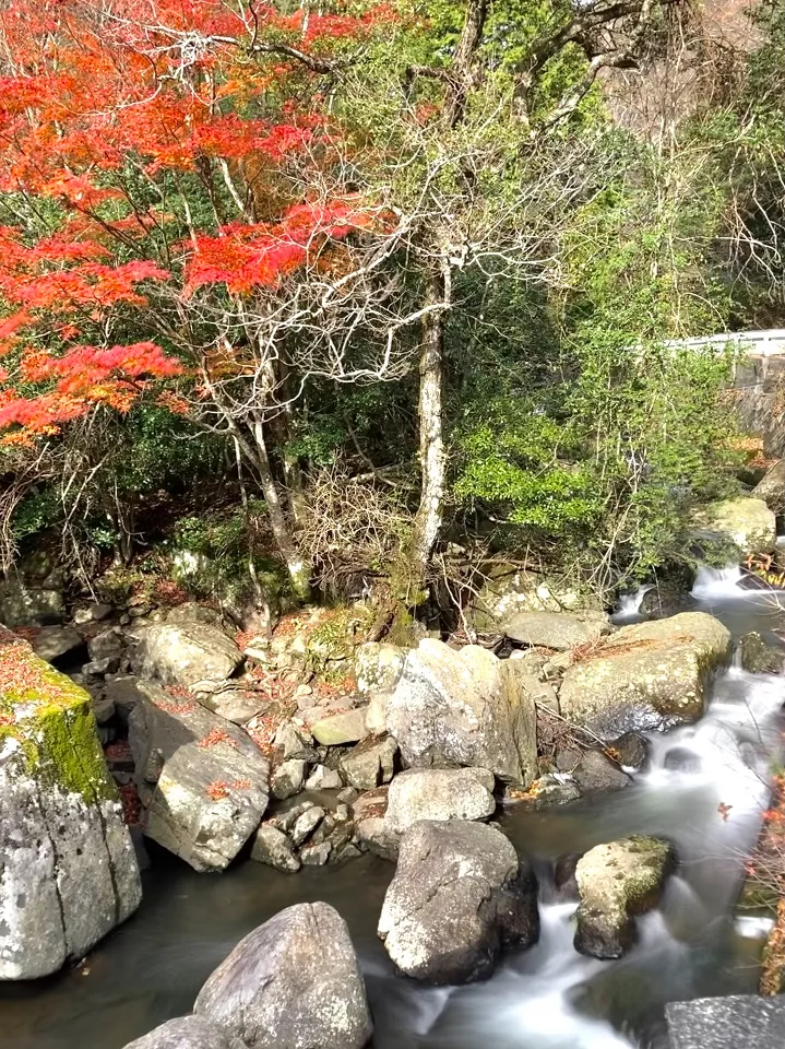 秋の尼ン滝