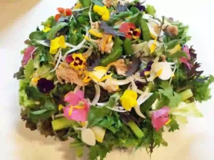 主役の農家野菜サラダ