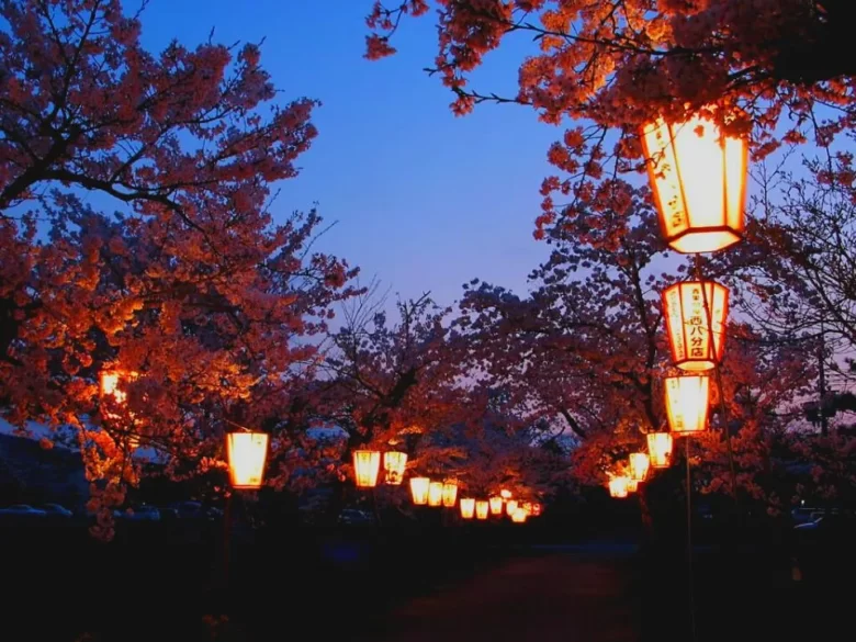 篠山城跡の夜桜