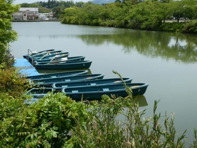 篠山城跡のボート