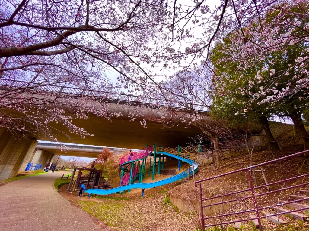 遊具と桜（平谷川緑地）