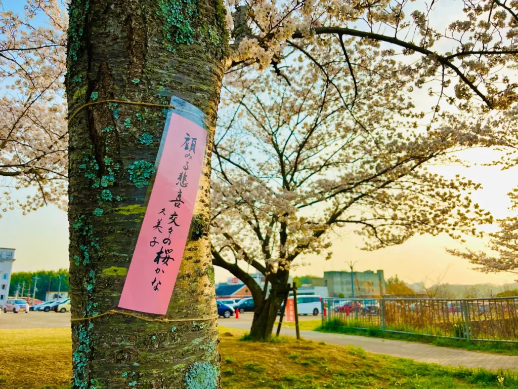 桜と俳句