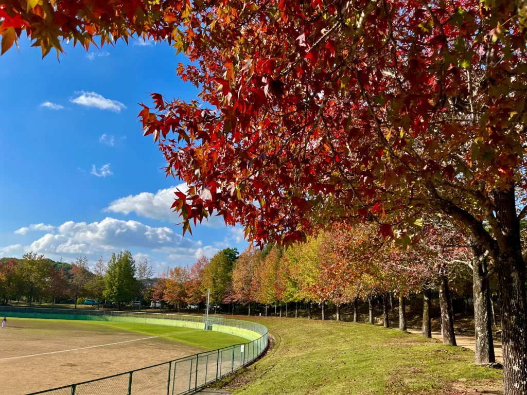 三田谷公園の紅葉