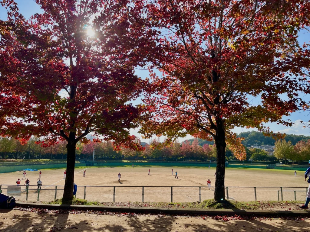 三田谷公園の紅葉