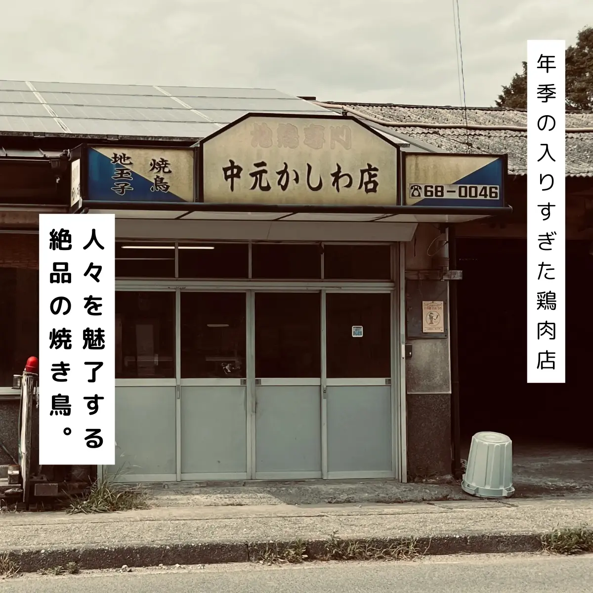 中 元 かしわ 店