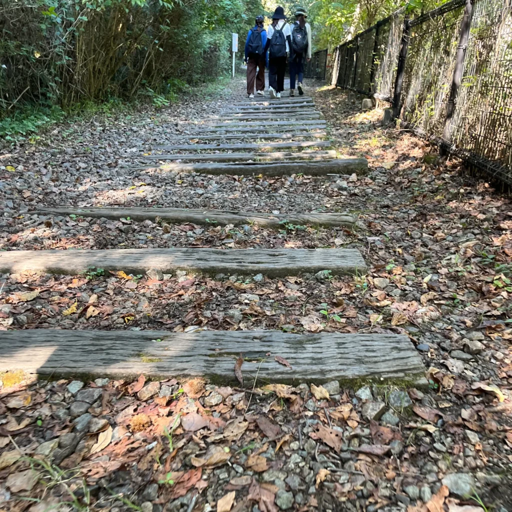 福知山廃線跡