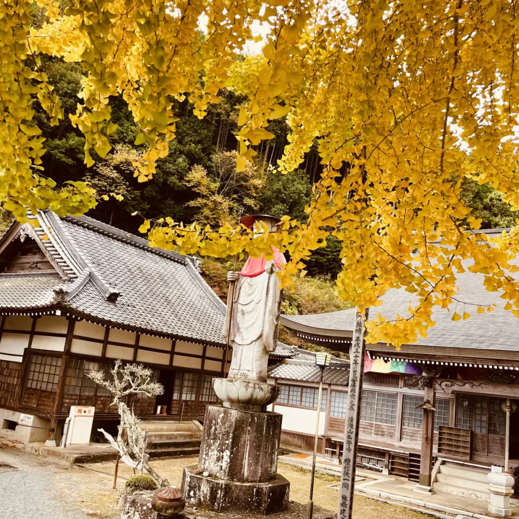 宇土観音 弘誓寺の大イチョウ