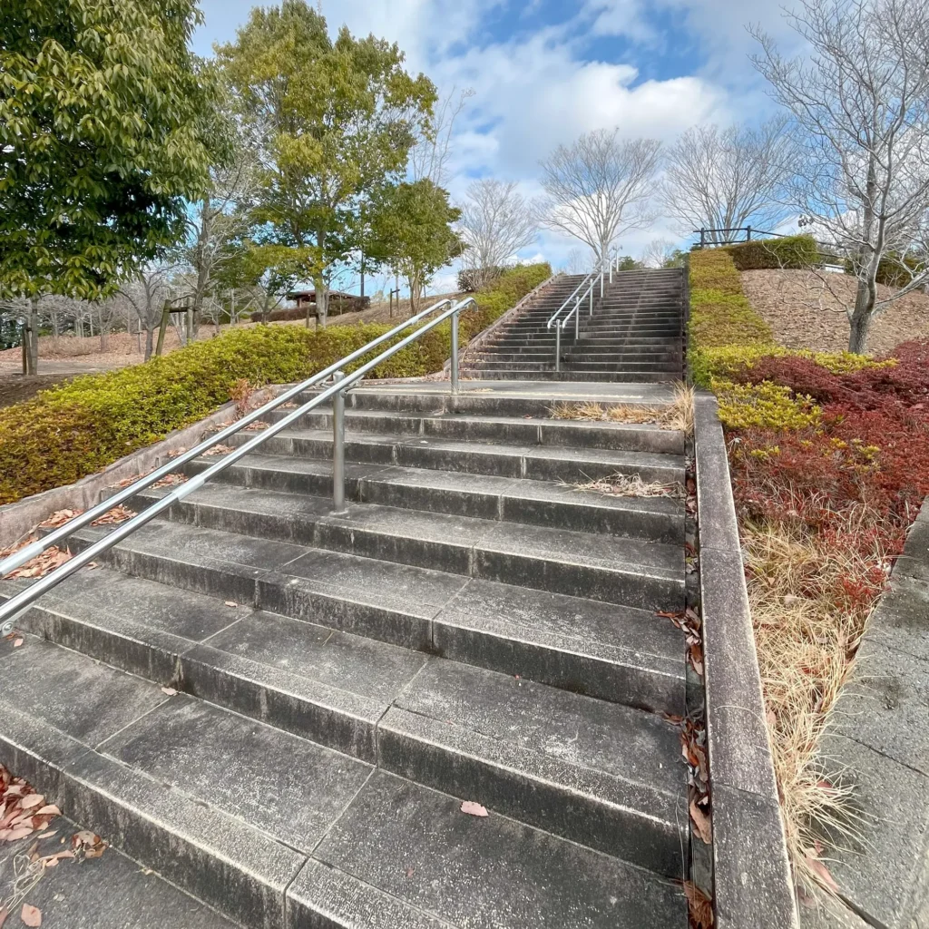 大きく広い階段を登ります