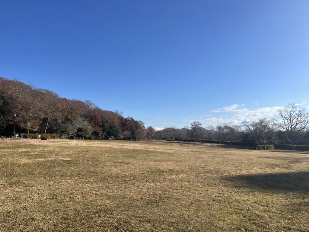 04_芝生広場の光景