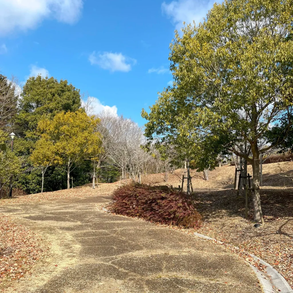 歩くと気持ちのいい散歩道