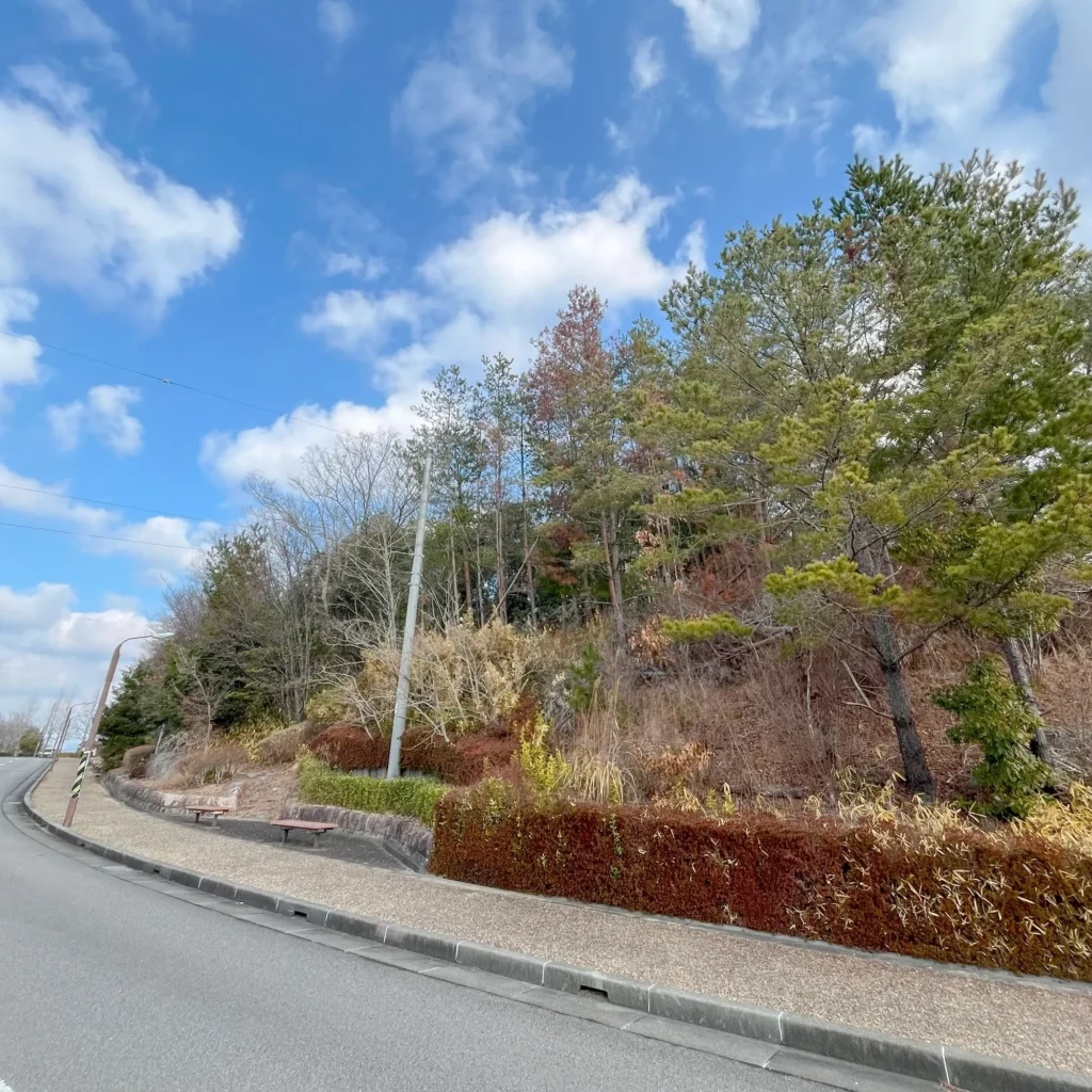 この山林の奥に風呂ヶ谷城の遺構があります