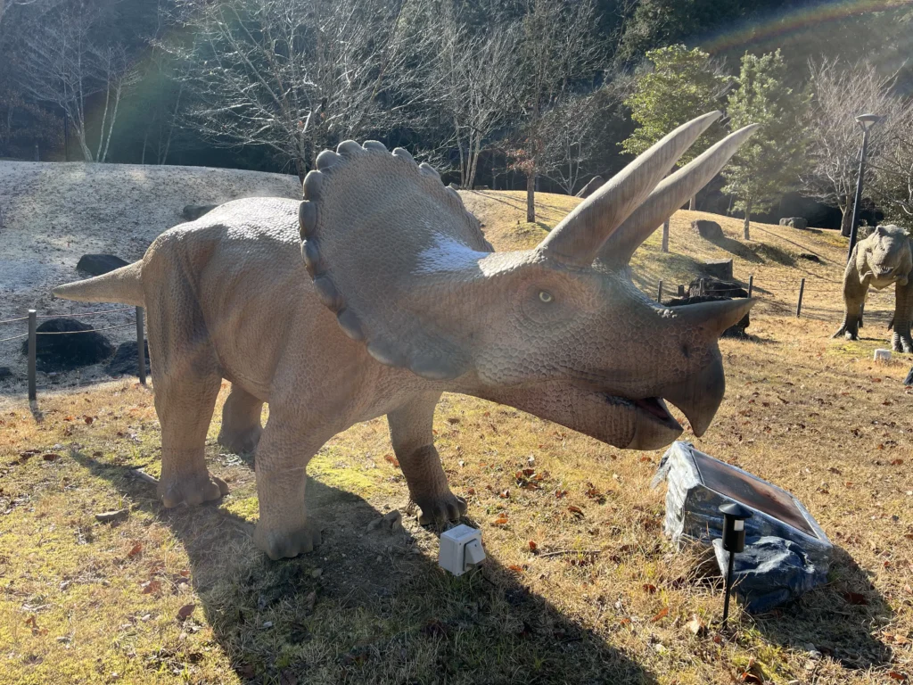 兵庫県立丹波並木道中央公園