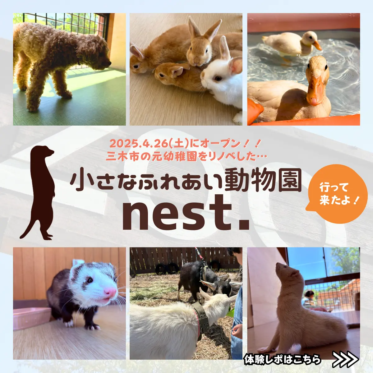nest. 三木市