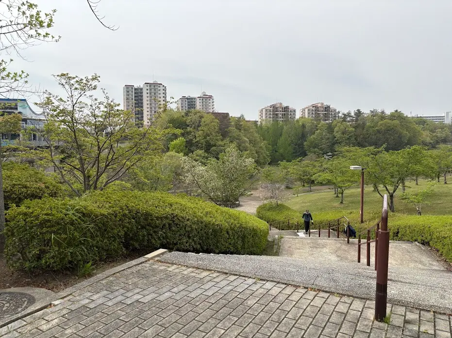 平谷側緑地(橋の下公園)