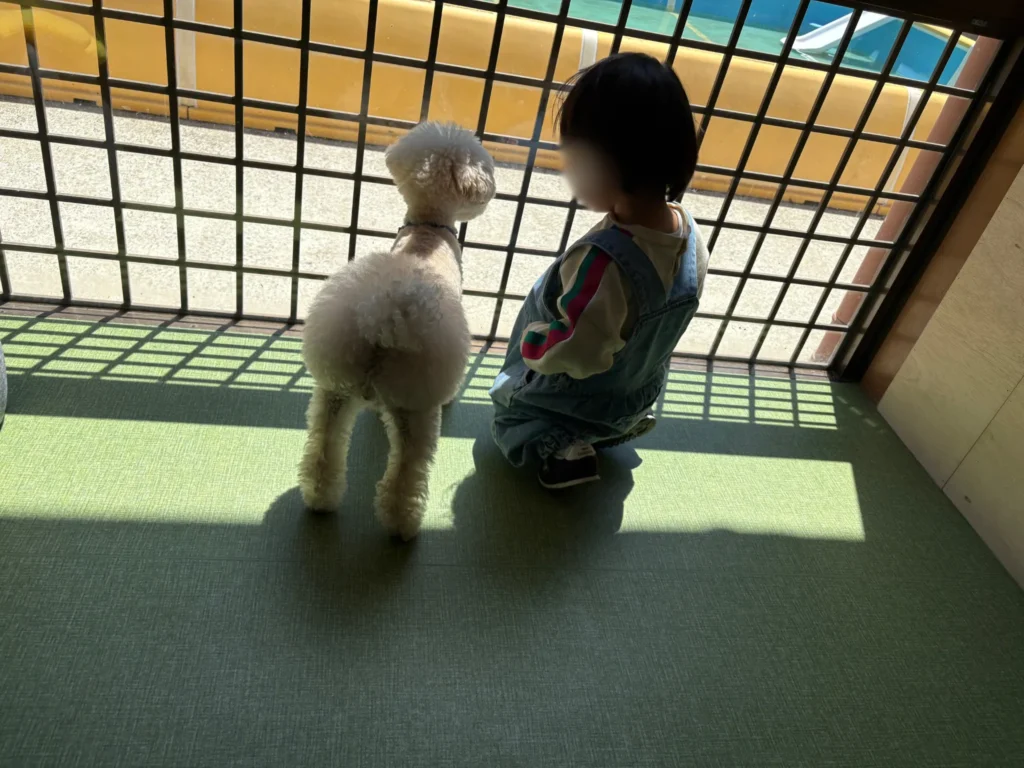犬と少年