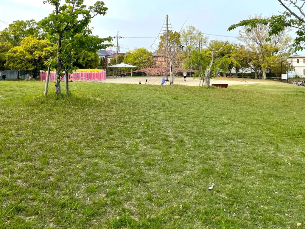 遊具エリアの芝生