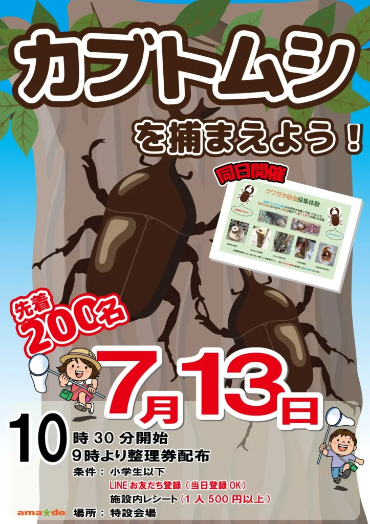カブトムシを捕まえよう