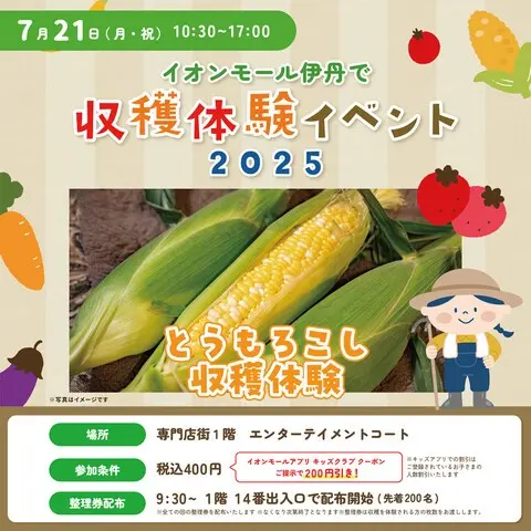 とうもろこし収穫体験イベント