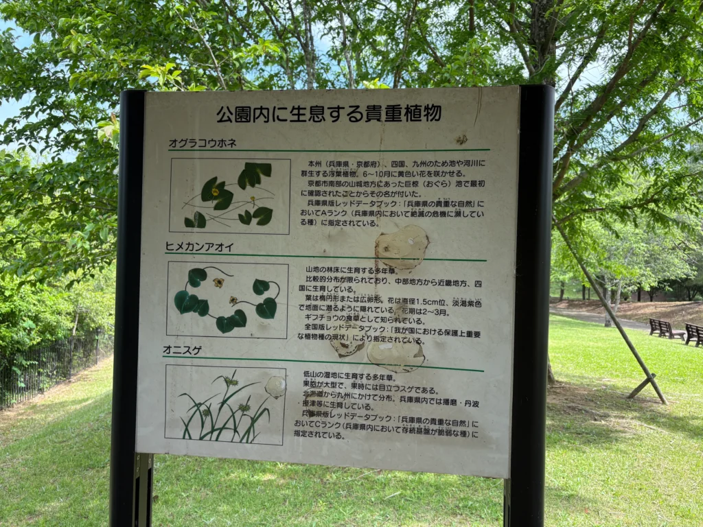公園内に生息する貴重植物