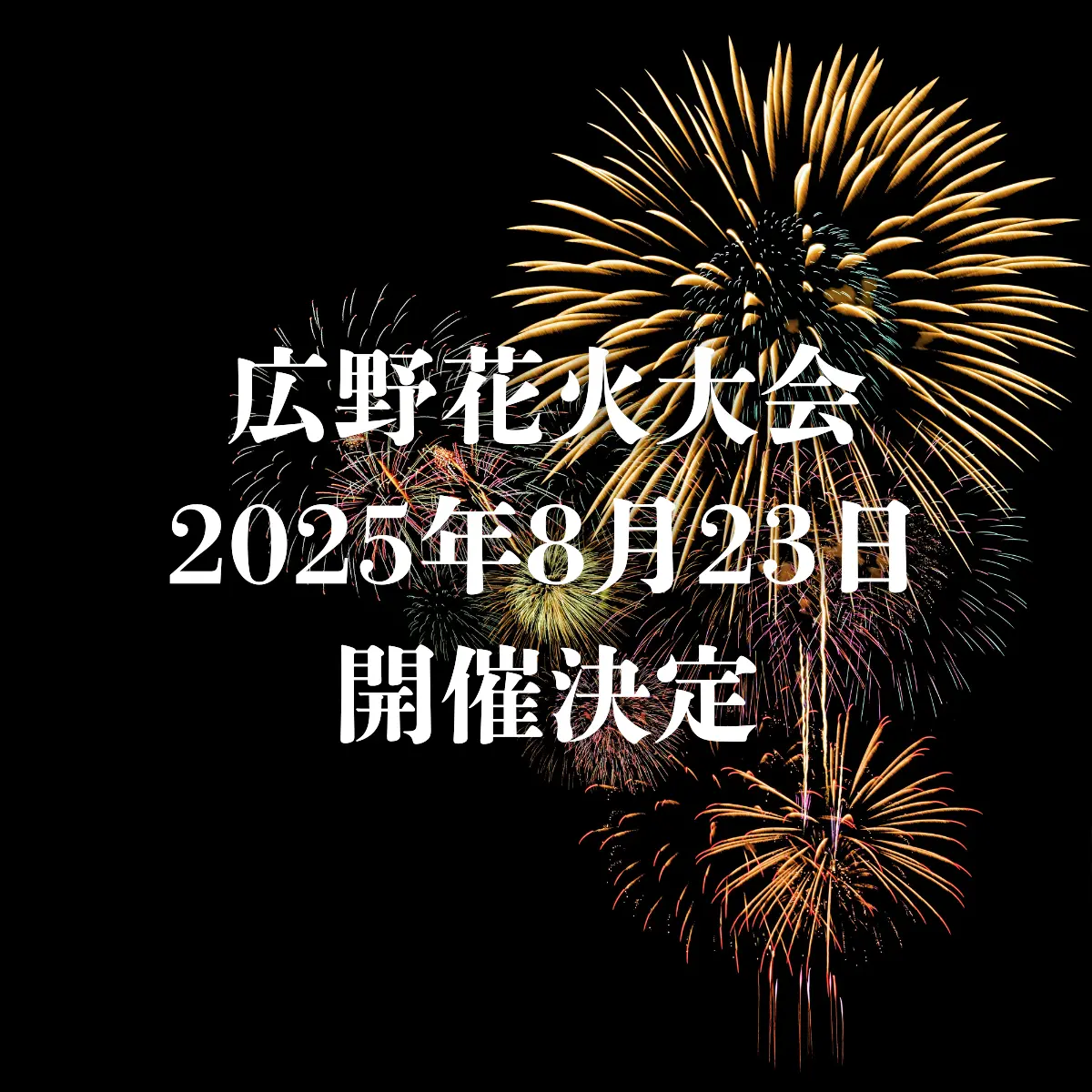 広野花火大会(三田市)