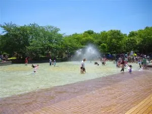 昆陽南公園